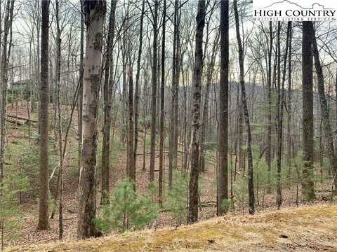 Tbd W Laurel Circle, Deep Gap, NC 28618