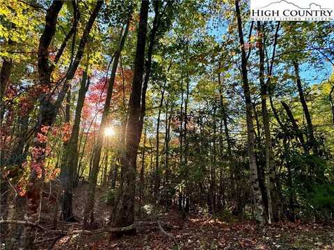 Tbd Roaring Ridge/Trout Lake Road, Deep Gap, NC 28618