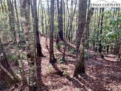 Tbd Roaring Ridge/Trout Lake Road, Deep Gap, NC 28618