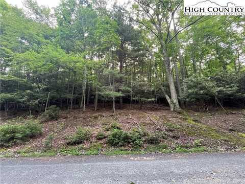 262 Poplar Rd and 106 Cedar Ln, Beech Mountain, NC 28604