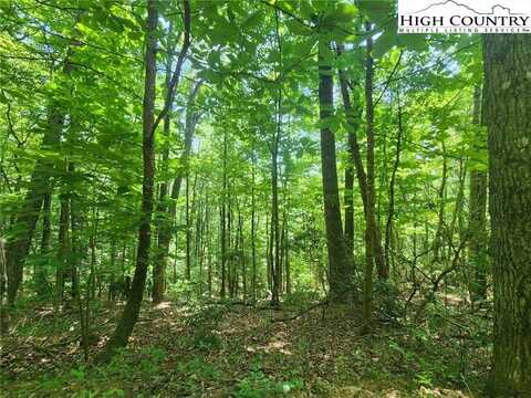 Tbd Hollow Point Drive, West Jefferson, NC 28694