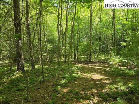 Lot 50 Deer Spring Ln/White Tail Trail, West Jefferson, NC 28694