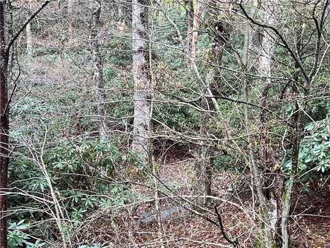 Lot 31 Piedra Road, Blowing Rock, NC 28605