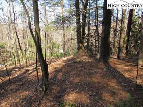 Lot 6 Green Mountain Road, Sparta, NC 28675