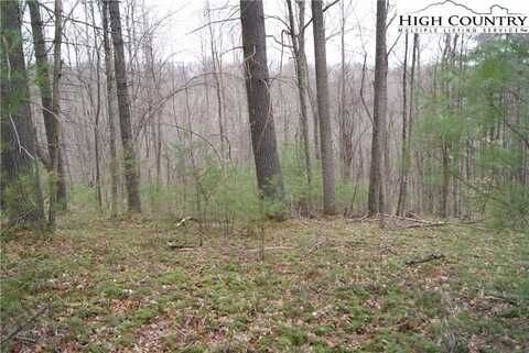 Lot 69 Laurel Mountain Drive, Sparta, NC 28675