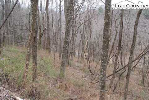 Lot 56 Toms Knob Road, Sparta, NC 28675