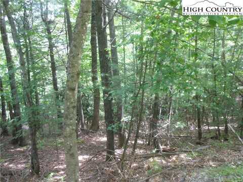 Lot 28 Moonbeam Lane, Deep Gap, NC 28618