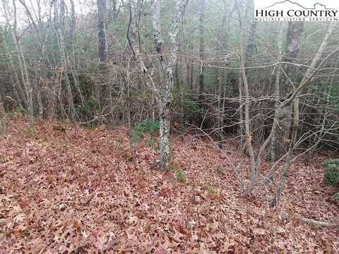 Tbd Windy Hill Road, Fleetwood, NC 28626