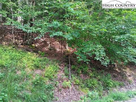 119 Aster Trail, Beech Mountain, NC 28604