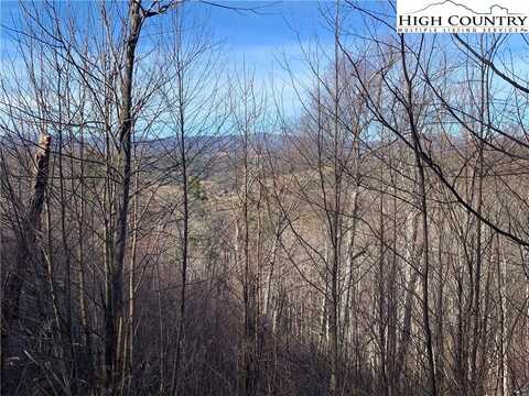 Lot #80 Cedar Court Court, Fleetwood, NC 28626