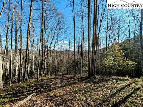 Tbd Courtney Lane, Vilas, NC 28692