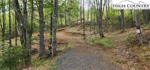 Lot 13 Daves Connector Highway Ext, Jefferson, NC 28640