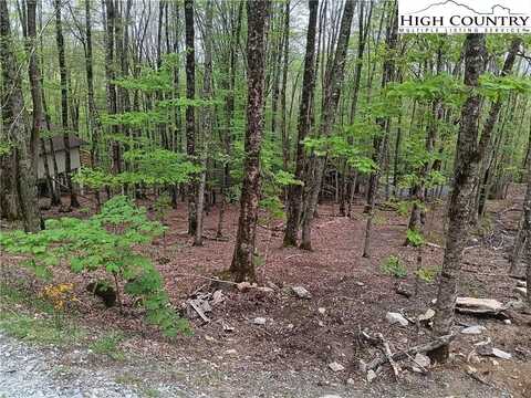 216 Lakeledge Road, Beech Mountain, NC 28604