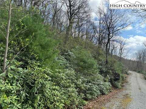 Lot 4 Rocky Bottom Drive, Sparta, NC 28675