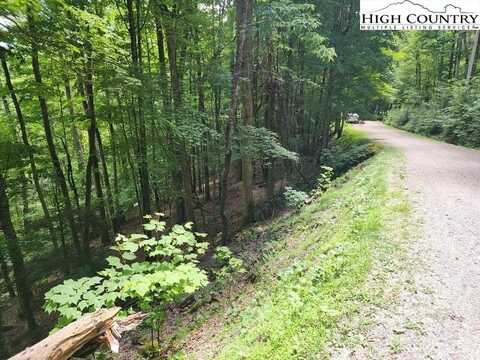 113 Hollow Tree Road, Beech Mountain, NC 28604