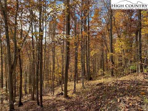 Lot 30 Pinnacle Ridge Road, Todd, NC 28684