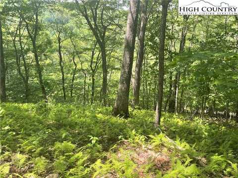 Lot 66 Bob Timberlake Drive, Boone, NC 28607