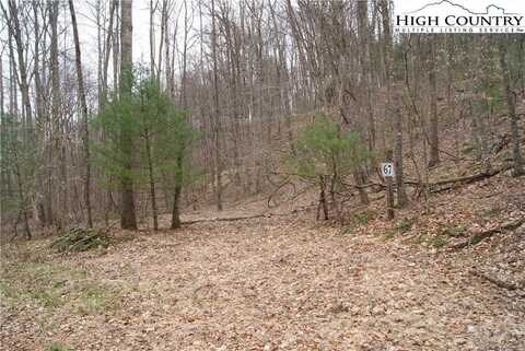 Lot 67 Laurel Mountain Drive, Sparta, NC 28675