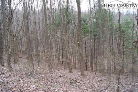 Lot 61 Forest Hill Drive, Sparta, NC 28675