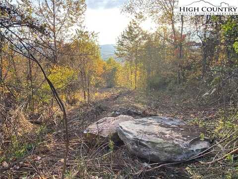 Lot 58 Toms Knob Road, Sparta, NC 28675