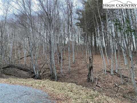 Lot 55 Laurel Mountain Drive, Sparta, NC 28675