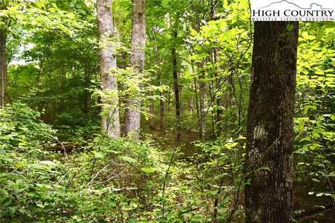 Lot 1 Big Flatts Church Road, Fleetwood, NC 28626