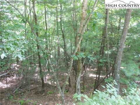 Lot 27 Moonbeam Lane, Deep Gap, NC 28618