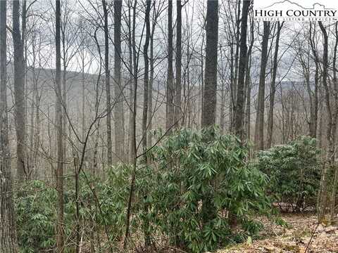 Lot 82 Buckeye Creek Road, Beech Mountain, NC 28604