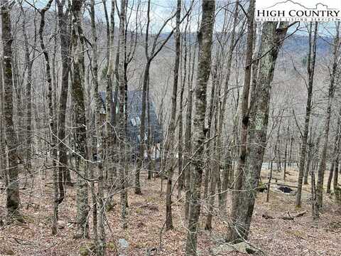 115 Pond Creek Road, Beech Mountain, NC 28604