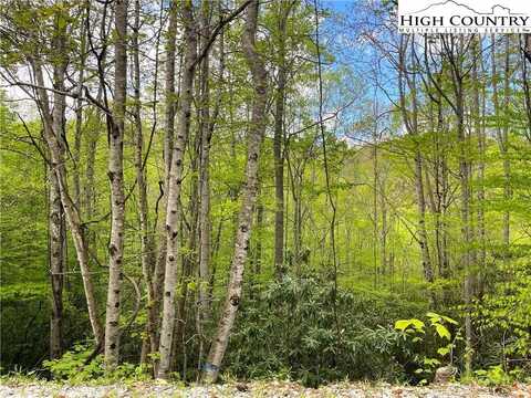 117 Deergrass Road, Beech Mountain, NC 28604