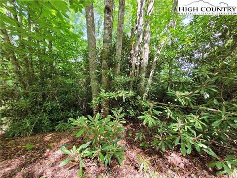 121,123,125 Deergrass Road, Beech Mountain, NC 28604