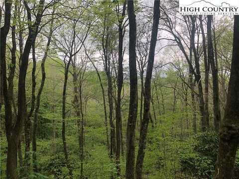 Tbd Big Windfall Road, Lansing, NC 28643