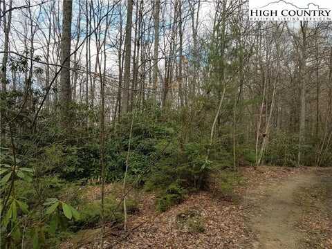 Red Clover Road, Beech Mountain, NC 28604