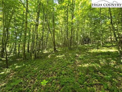 Lot 67 Deer Spring Ln/White Tail Trail, West Jefferson, NC 28694