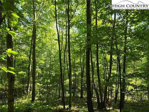 Lot 66 White Tail Trail, West Jefferson, NC 28694