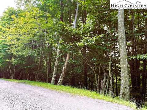 116 Aster Trail, Beech Mountain, NC 28604