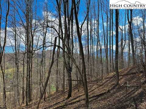 Lot 2 Stonegate Lane, Creston, NC 28615