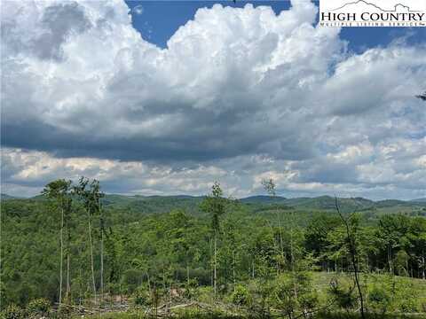 Tbd Maines Hill Lane, Scottville, NC 28663