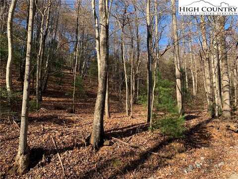 Lot 1 Wolf Den Lane, Lenoir, NC 28645