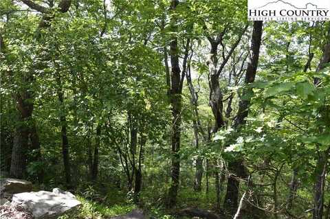 Lot #22 Rocky Mountain Road, Sparta, NC 28675