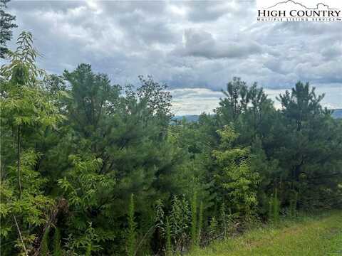 Tbd Lobelia Lane, Boone, NC 28607