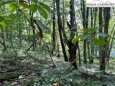 Tbd/Lot 27 Jewelweed Trail, Newland, NC 28657