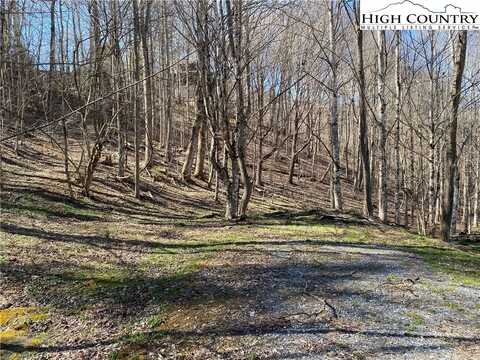 Lot 5 Lakespur Trail, Banner Elk, NC 28604