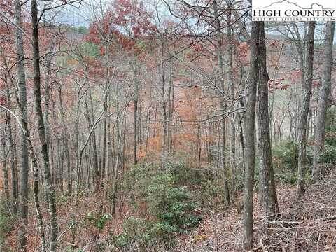 Tbd Lots 15 & 16 Lost Trail, West Jefferson, NC 28694