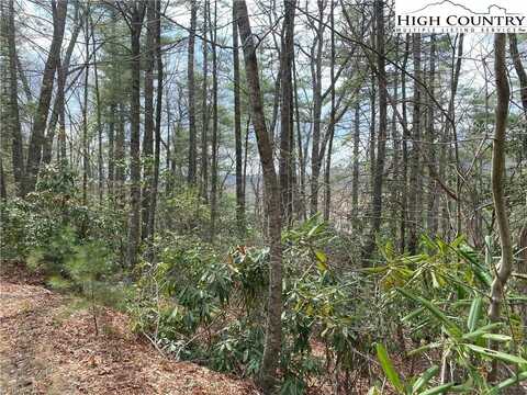 Lot 35 Whitetail Drive, Fleetwood, NC 28626