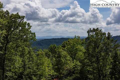 Lot 158 Chestnut Mountain Farms Parkway, Mc Grady, NC 28649