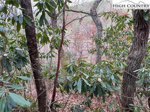 Tbd Lot 22 Lost Trail, West Jefferson, NC 28694