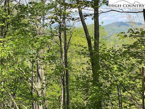 Lot 29 Grandfather Watch Lane, Banner Elk, NC 28604