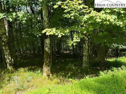 217 Sawmill Branch Road, Beech Mountain, NC 28604