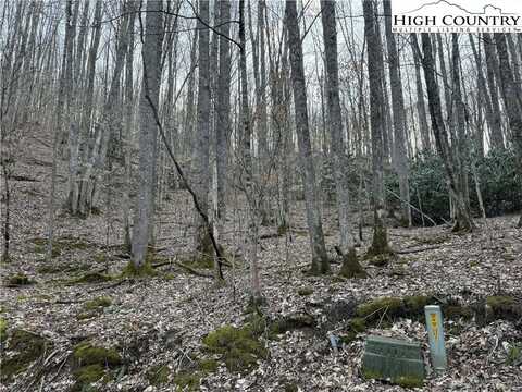 Lot 2 Buckeye Ridge Road, Beech Mountain, NC 28604